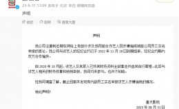 宋祖儿被举报偷税漏税明星为何仍敢铤而走险？