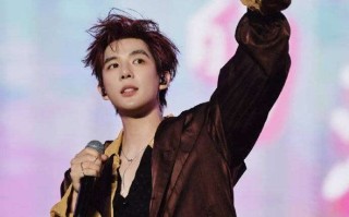 手抖男孩拒上《歌手》！王安宇这句自黑让全网破防：比假唱体面一万倍